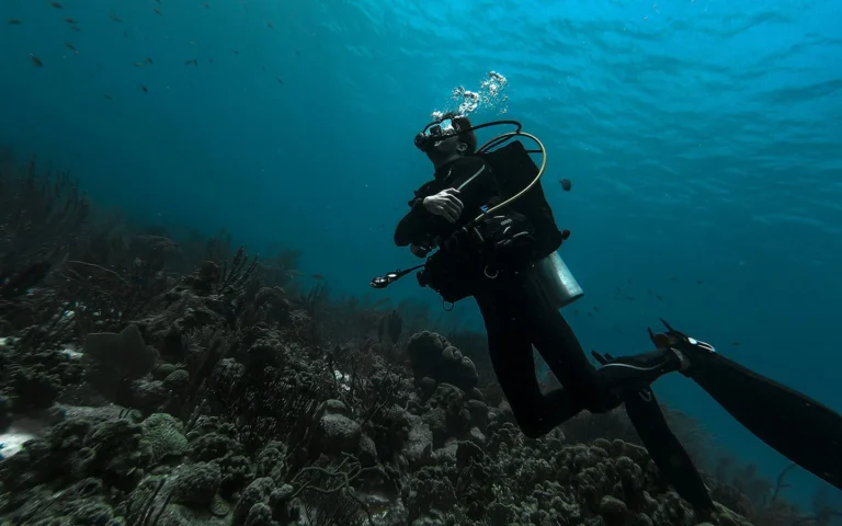Dive with a Local