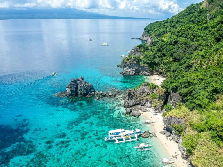 Apo Island